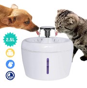 Water Fountain LED Electric Pet Feeder in Camarillo